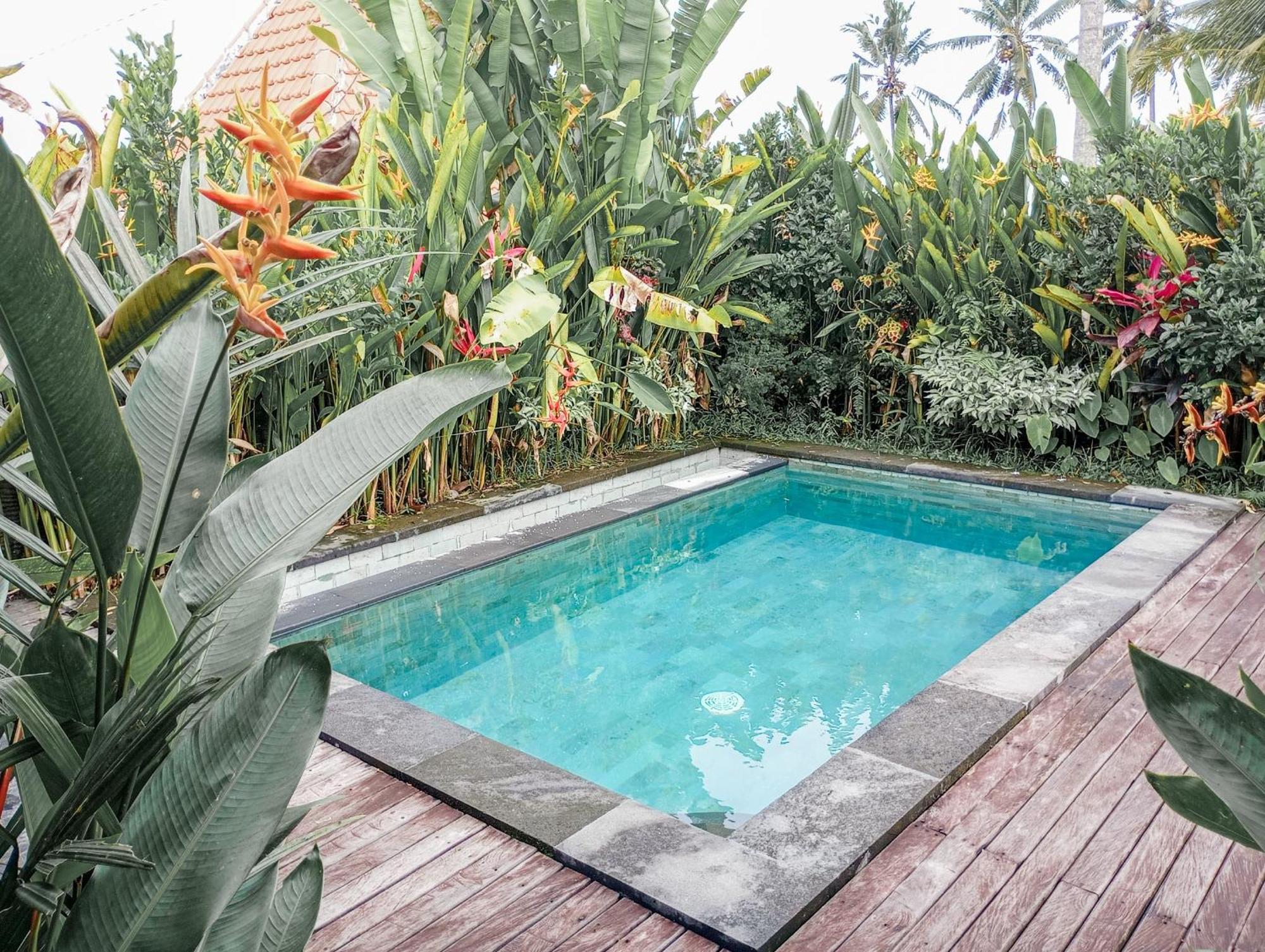 Nyoman Sandat House 1 Ubud Exteriör bild