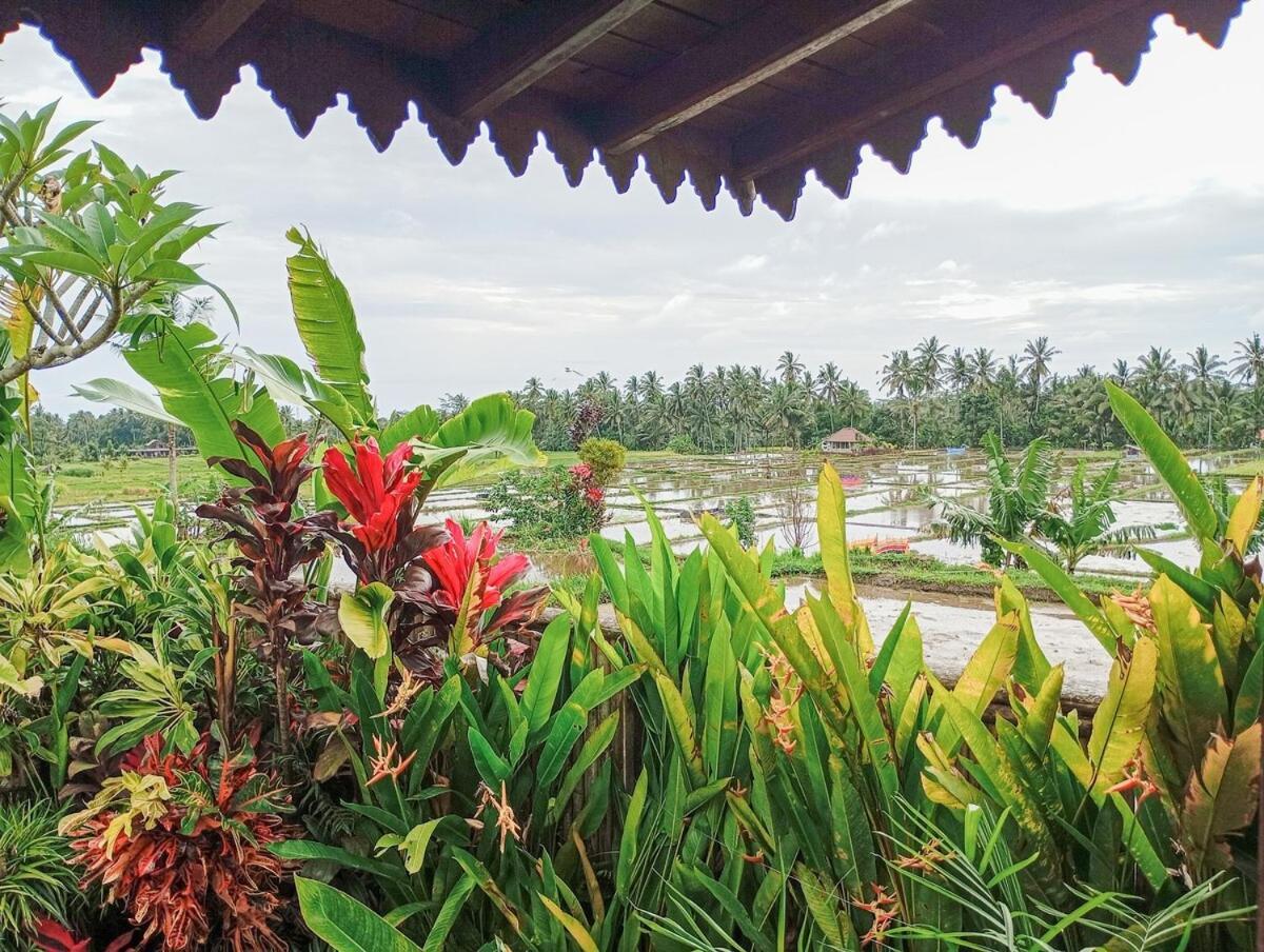 Nyoman Sandat House 1 Ubud Exteriör bild